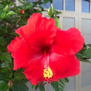 Meet your Posher, Marci